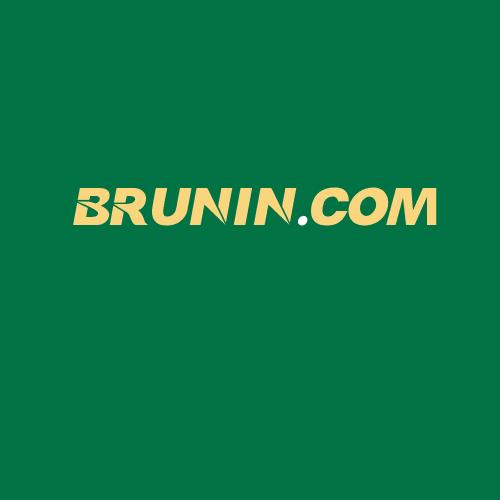 Logo da BRUNIN